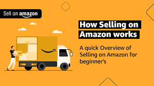 Amazon India Business