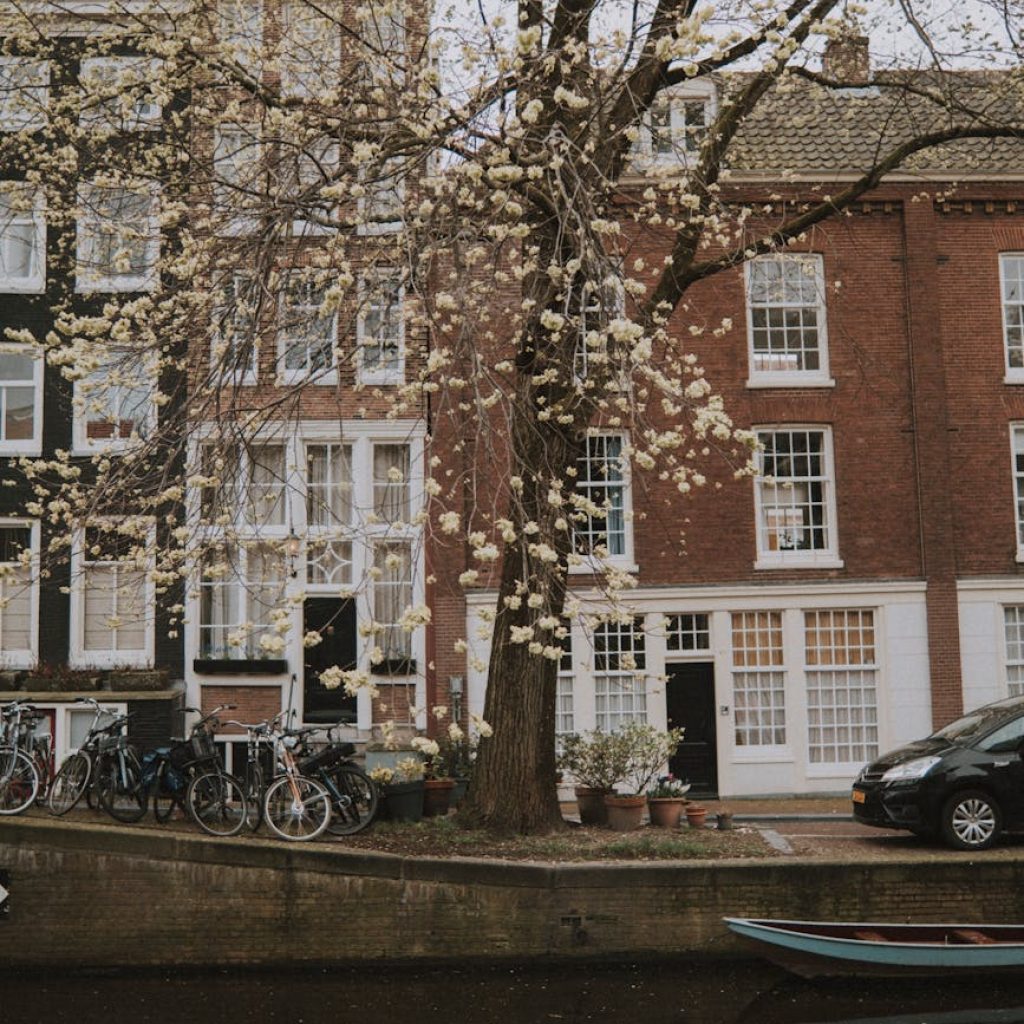 How Smart Cities Are Transforming Urban Living