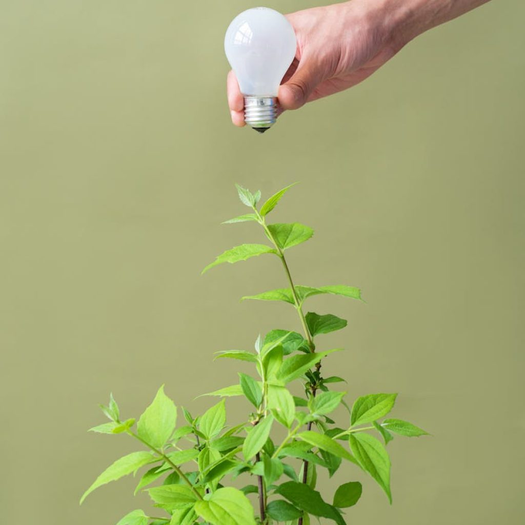 Renewable Tech: How Innovation Is Powering Sustainability